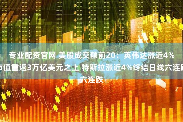 专业配资官网 美股成交额前20：英伟达涨近4%市值重返3万亿美元之上 特斯拉涨近4%终结日线六连跌