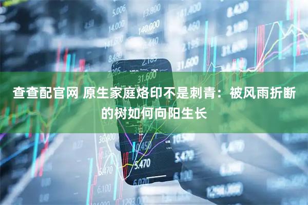 查查配官网 原生家庭烙印不是刺青：被风雨折断的树如何向阳生长